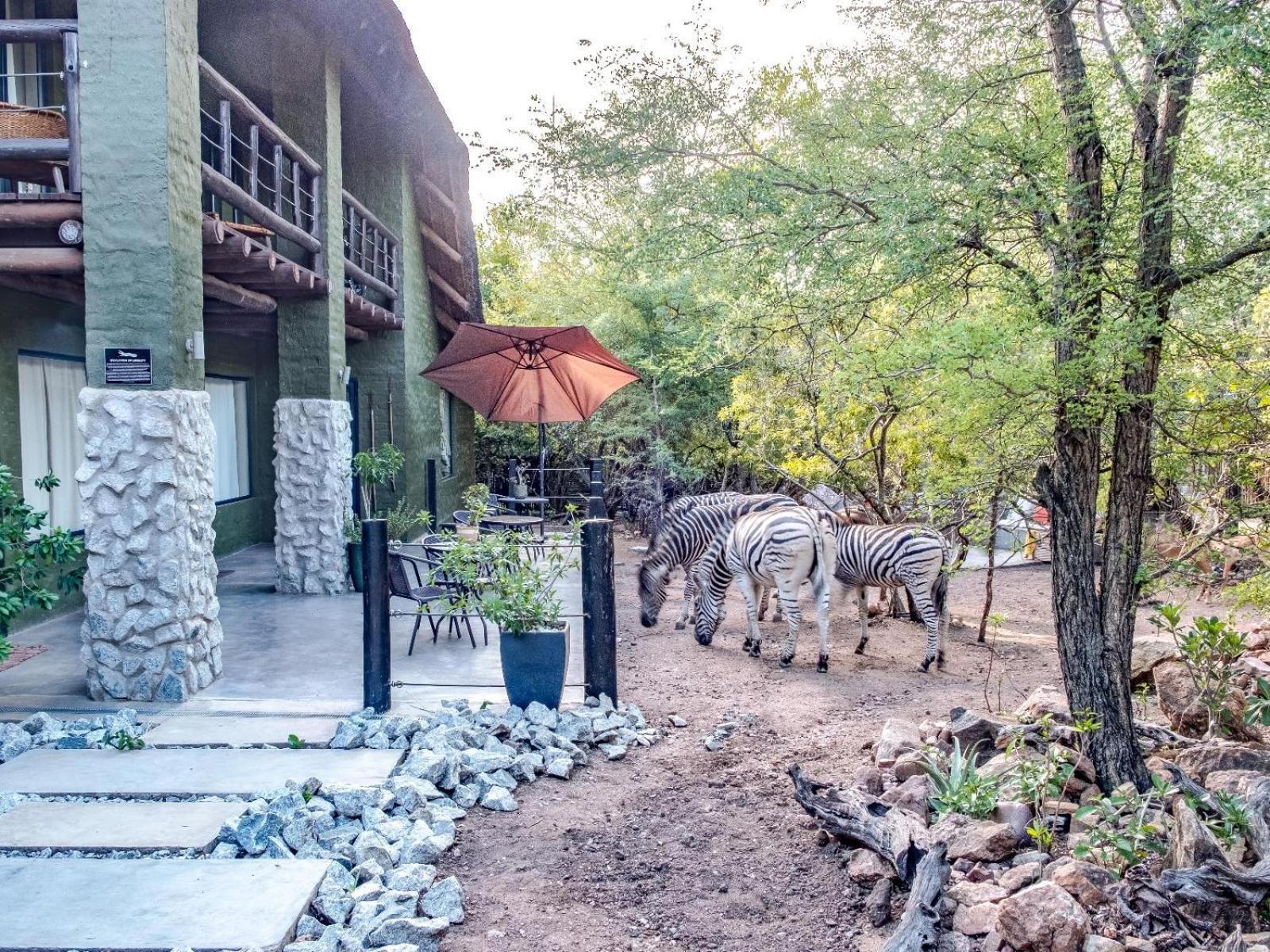 Croc Orvyll'S Kruger Lodge Marloth Park Extérieur photo