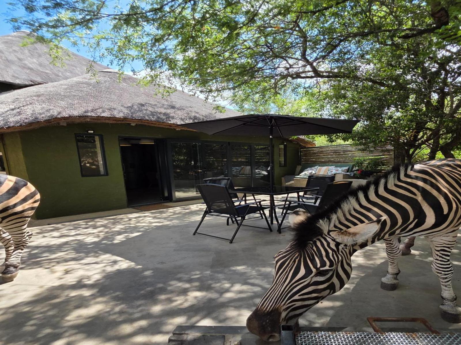 Croc Orvyll'S Kruger Lodge Marloth Park Extérieur photo